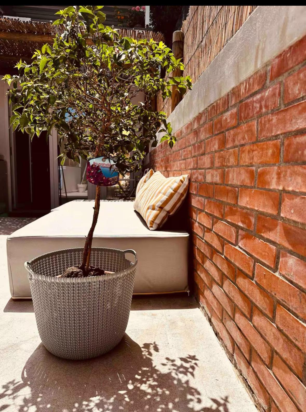 Casa Capri Mores Luaran gambar
